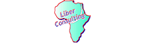 LIBER CONSULTING